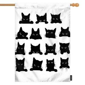 SKU-12-28__x40__ multi-566